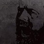 SUICIDE BY TIGERS