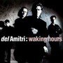 DEL AMITRI
