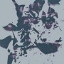 CHASMS