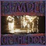 TEMPLE OF DOG