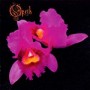 OPETH OPETH