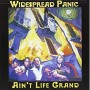 WIDESPREAD PANIC