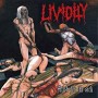 LIVIDITY LIVIDITY