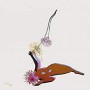 FUTURE ISLANDS FUTURE ISLANDS