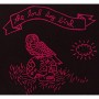 LORD DOG BIRD LORD DOG BIRD