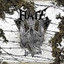 HATE HATE