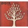 GOJIRA
