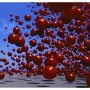 CRANBERRIES