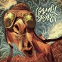CAMEL DRIVER