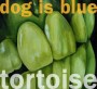 DOG IS BLUE