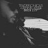 TENDERLONIOUS & DENNIS AYLER TENDERLONIOUS & DENNIS AYLER