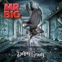 MR. BIG MR. BIG