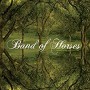 BAND OF HORSES BAND OF HORSES