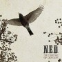 N.E.D. N.E.D.