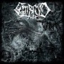 EMBRYO