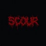SCOUR