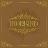 IRONBIRD