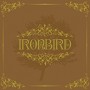 IRONBIRD IRONBIRD