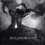 NULLINGROOTS NULLINGROOTS