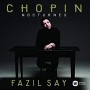 SAY FAZIL SAY FAZIL