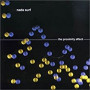 NADA SURF NADA SURF