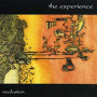 EXPERIENCE