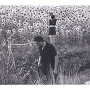 JESU/SUN KIL MOON
