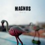 MAGNUS MAGNUS