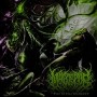 MALECEPTOR