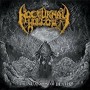 NOCTURNAL HOLLOW NOCTURNAL HOLLOW