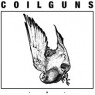 COILGUNS