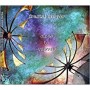 FRACTAL MIRROR FRACTAL MIRROR