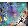 FRACTAL MIRROR FRACTAL MIRROR
