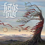 FIELDS OF TROY
