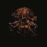 DARK BUDDHA RISING