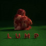 LUMP LUMP