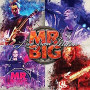 MR.BIG MR.BIG