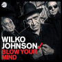 JOHNSON WILKO