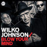 JOHNSON WILKO
