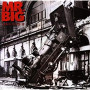 MR. BIG MR. BIG