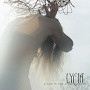 LYCIA