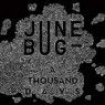 JUNE BUG JUNE BUG