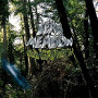 DEAD MEADOW