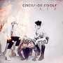 CIRCUS OF FOOLS