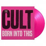 CULT CULT